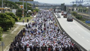 marshimi turqi