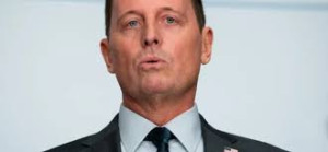 Grenell