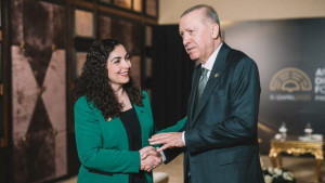Vjosa Erdogan